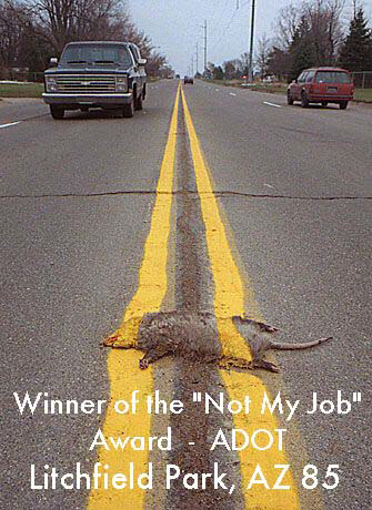 A dead animal lies in the center of a road, captioned: Winner of the 'Not My Job' Award – ADOT, Litchfield Park, AZ